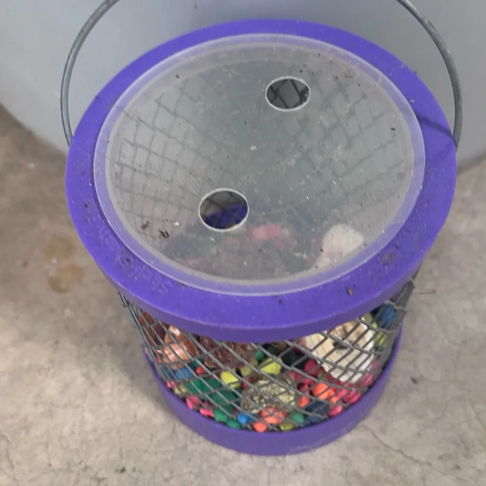 Small Pet Hideaway Hermit crab - Purple